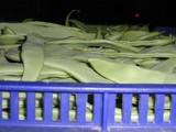 Europa bloquea tres partidas de judías verdes y una de berenjena de países terceros por incumplir la legislación fitosanitaria