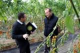 Agrocolor se convierte en la primera certificadora de producción ecológica en Almería