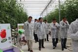 El alcalde de El Ejido y el concejal de Agricultura visitan el Centro de Ensayos y Demostraciones de Rijk Zwaan