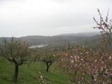 Hasta el 10 de mayo está abierto el plazo de solicitud del Pago Único de ayudas directas, agroambientales y a la forestación