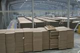 La CNC abre expediente sancionador a once empresas en el sector de la fabricación de papel y cartón ondulado