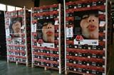 CASI presenta este viernes su campaña de sandía y melón
