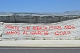 Los comités de COAG realizan pintadas exigiendo la Rebaja Fiscal para el campo almeriense