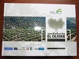Judit Anda destaca el peso del olivar como cultivo insignia de Andalucía y fuente de riqueza y empleo en el medio rural