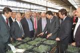 Arias Cañete ha visitado las instalaciones de Agroponiente y ha conocido de primera mano los procesos de esta empresa y de Grupo Fashion