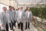 El ministro de Agricultura, Alimentación y Medio Ambiente, Miguel Arias Cañete, visita el Centro de Ensayos y Demostraciones de Rijk Zwaan, en El Ejido