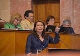 La delegada del Gobierno insiste en que las altas en el subsidio agrario han aumentado en Andalucía