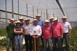 La nueva variedad de melón piel de sapo de Seminis conquista a agricultores, técnicos y compradores