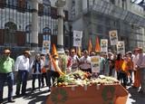 UPA pide ante Agricultura una PAC justa y suficiente para España