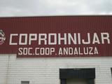 La SCA COPROHNÍJAR, premiada por su iniciativa innovadora en la IX edición de los Premios de la Junta de Andalucía
