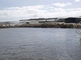 Exigen a la Junta Central de Usuarios del Acuífero del Poniente Almeriense que reanude con urgencia el bombeo primario en la Balsa del Sapo