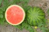 El melón y la sandía son las frutas frescas de verano preferidas por los españoles