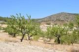 Arias Cañete excluye a los agricultores del proceso negociador de la nueva PAC
