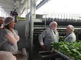 Miguel Arias Cañete: “El Ministerio trabaja para hacer de la agricultura un sector muy competitivo que gane dinero en el mercado”