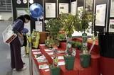 Iberflora y Vegetal World se vuelcan en la promoción de la innovación