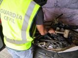 La Guardia Civil recupera la totalidad del material sustraído en una finca invernada y detiene a los autores del robo