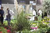 Vegetal World acoge la mayor oferta del sector agrario