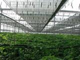 Europa se enfrenta al reto de conseguir una agricultura más productiva, eficiente y sostenible