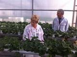 Víboras destaca la innovación y transferencia tecnológica como instrumentos de crecimiento del sector de frutas y hortalizas