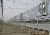 Aprobados 35 millones de euros más para la contratación de seguros agrarios