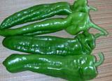 Pimientos, calabacines y judías, únicos productos que se mantienen por encima de los 0,60 euros el kilo