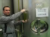 Almería exporta aceite de oliva a Australia, Japón, Estados Unidos, Senegal y República Dominicana