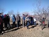 La Junta de Andalucía celebra en Tíjola una jornada técnica sobre el cultivo del almendro