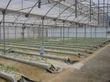 Una empresa almeriense de la industria auxiliar de la agricultura participa de la mano de EXTENDA en una agenda de negocios en Túnez