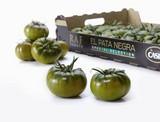 CASI abre su tienda on-line de tomate raf