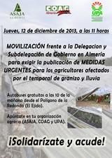UPA, COAG y ASAJA convocan una manifestación el jueves para exigir agilidad a las administraciones para ayudar a los afectados por el granizo