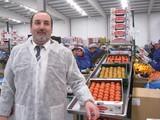 El valor de las exportaciones de verduras frescas de Almería hasta octubre creció un 12% y el de las frutas un 34%