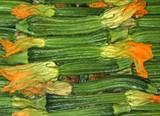 Calabacines y pepinos bajan de precio en comparación con la pasada semana