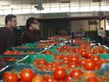 La industria agroalimentaria señala que la recuperación no puede verse frenada por nuevas subidas de impuestos