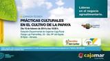Cajamar Caja Rural aborda en una jornada las prácticas culturales en el cultivo de papaya y su viabilidad en Almería