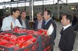 Agroponiente ha recibido este miércoles la visita del director general de Producción Agrícola de la Junta de Andalucía, Rafael Olvera