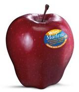 El consorcio de la manzana Marlen, VOG, inicia una fuerte campaña de marketing por toda Europa