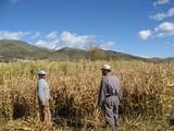 Unos 7.200 agricultores almerienses perderán un 8,6% de las ayudas de la PAC por el recorte del Gobierno español
