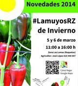 Rijk Zwaan muestra esta semana sus novedades en pimiento lamuyo rojo para invierno