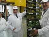 38 Organizaciones de Productores de Frutas y Hortalizas de Almería solicitan 40,5 millones de euros para programas operativos