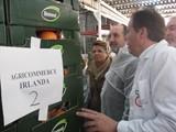 Almería exportó en 2013 productos cítricos valorados en 31,2 millones de euros, un 5,7% más en el año 2012