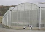 Mañana se presentan las Jornadas Internacionales de Agricultura Familiar que celebrará la UAL en mayo