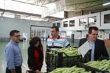Agro San Isidro comercializa unos 40 millones de kilos anuales