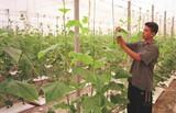 COAG Andalucía valora que el sector agrario se consolide como pilar económico y de empleo en la Comunidad