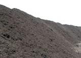 El Comité Comarcal de COAG El Ejido-Dalías visita las instalaciones de Ejido Medioambiente para comprobar su funcionamiento