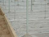 Autorizados de forma provisional los formulados que contengan 1,3 dicloropropeno para la desinfección de suelos hortícolas