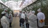 EXTENDA organiza más de 300 entrevistas entre empresas internacionales y empresas andaluzas en Almería