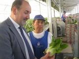El 46,5% de las verduras frescas que exportó España en el primer trimestre de este año son de Almería