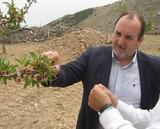La Junta celebra un curso sobre poda en verde de almendro, en la comarca del Alto Almanzora