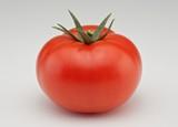 La marca Nunhems®  consigue con Potential F1* el primer tomate larga vida con frutos de gran tamaño durante todo el ciclo