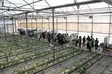 La Junta de Andalucía imparte un curso sobre fertirrigación y medio ambiente en horticultura